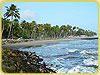 Kollam