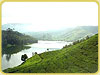 Munnar