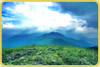 Ponmudi Hills